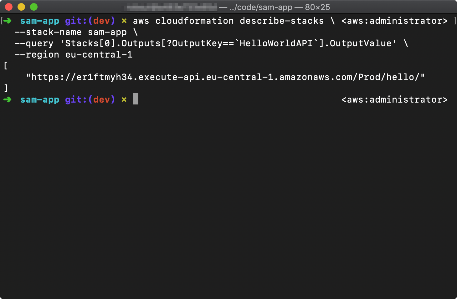 Terminal window showing outputs from aws cloudformation describe-stacks