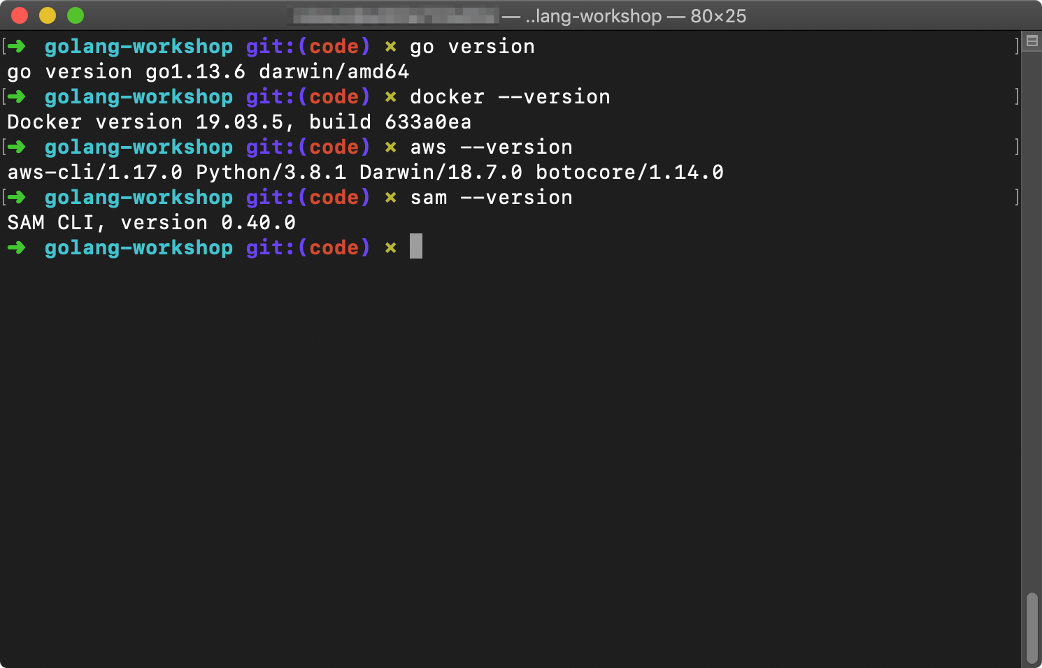 Terminal showing results of 'go version', 'docker --version', 'aws --version', and 'sam --version' commands.
